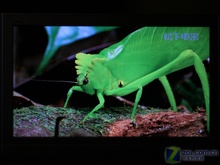 TS-IPS!32LE70Duy 