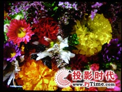 點擊放大