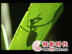 點擊放大