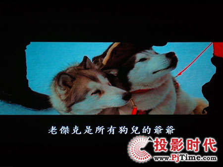 cŴ󣬊WDa1080pͶӰCHD803 DVDЧ