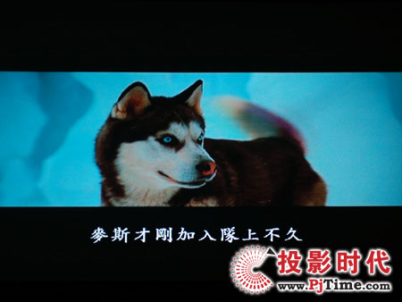 cŴ󣬊WDa1080pͶӰCHD803 DVDЧ