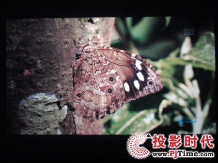 \JDE28ͶӰCӑBҕlЧ