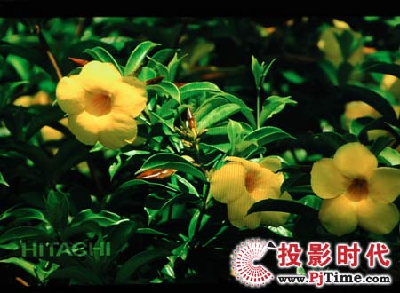 cŴ󣬄(chung)SҺҕ42L02RFXЧ