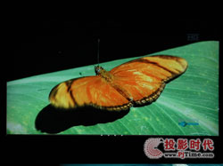 cŴ