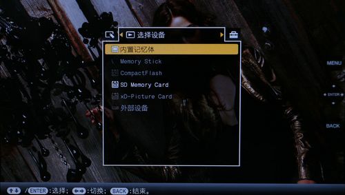 ᔵaDPF-V1000