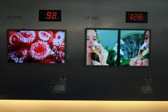 FPDChina2009ƽ@ʾgչ 弼gƪ