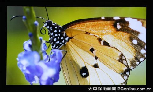 WDaHD82ӰԺ1080PͶӰCuy