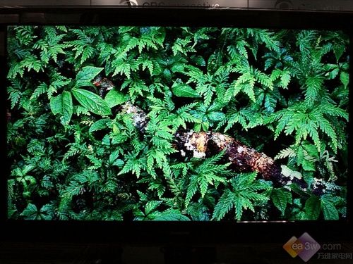 時(shí)尚娛樂(lè)升級(jí) 長(zhǎng)虹iTV55820液晶首測(cè)
