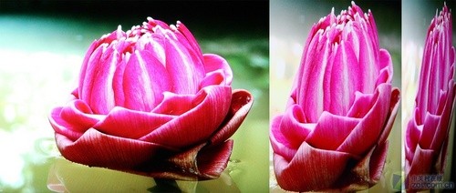 不玩超薄玩畫質?東芝新LED電視詳測