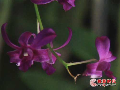 곞H5360ͶӰCXuy