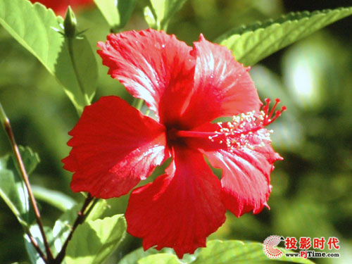 ʽԽ 곞S5200̽ͶӰC(j)uy