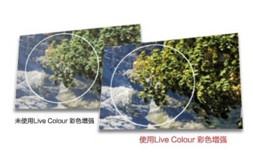 Live Colour ɫ