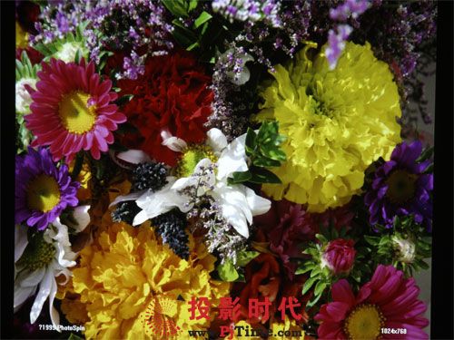 ̄(w)ͶӰF(yu)PJD5352ͶӰu(png)y(c)_惞(yu)