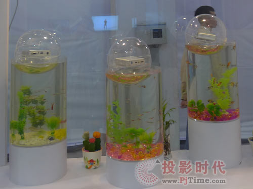 安如普數字告示 挑戰魚缸中的輕穩