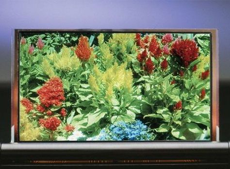 cŰ_ʼa(chn)OLED