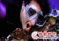 專業高清視頻