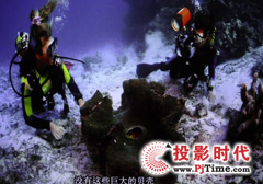專業高清視頻