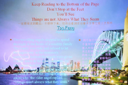 ̽ͶӰCMu֮PPTʾ