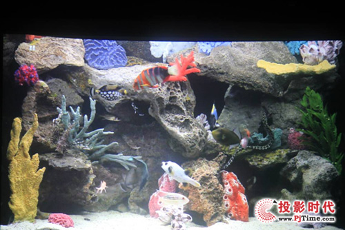 ӍͶӰCH1180HD[ι܊_ƪ
