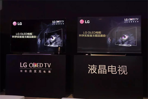 Ҋ錍 LG OLEDҕҺҕȺ