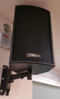 TONSIArlyhҕlϵy