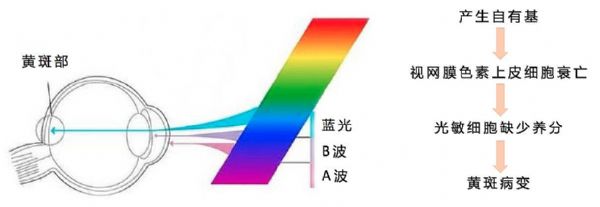 Ȱ˹gŵȣ҂LED