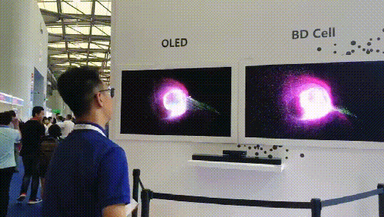 DISPLAY CHINA 2019վ^mMF^Q䌦F