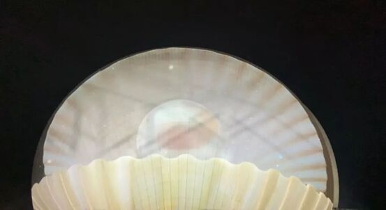 麣ؐ貾`ţͿʢIY