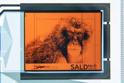 Holst CentersALDPENτIGZO OLED@ʾ