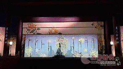 ʽ(mng)ش 뮋ϺӈD