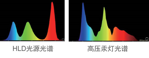 _W(xu)ҕHLDͶӰC(j)̌W(xu)