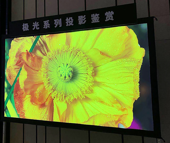 NECOϵƷʽl ͶӰЈ팍