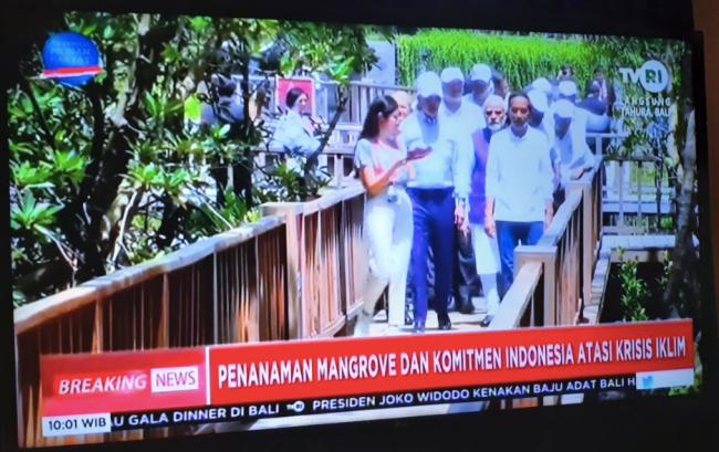 ҊCݕ | TVU OneýwG20