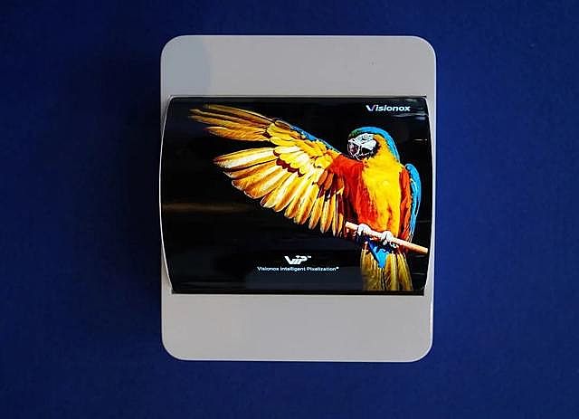 8OLED ITИIِ֮c