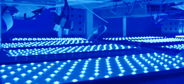 618Mini LED(sh)
