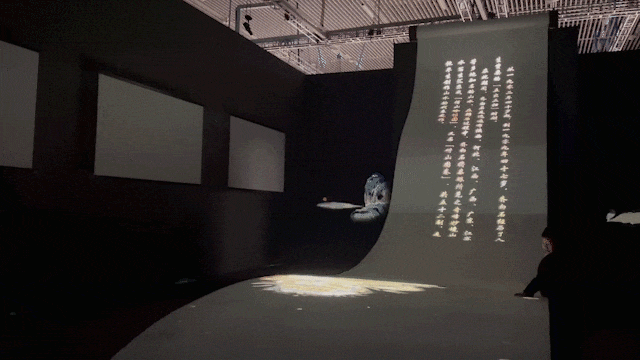 ИIӱ Pc2023ͶӰИIʮ󽛵䰸
