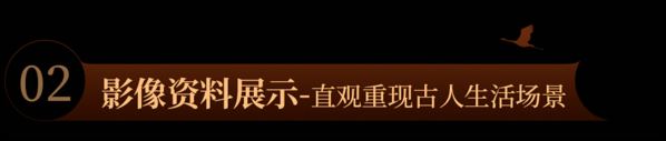 幤ͶӰV^vʮfvʷ׃w