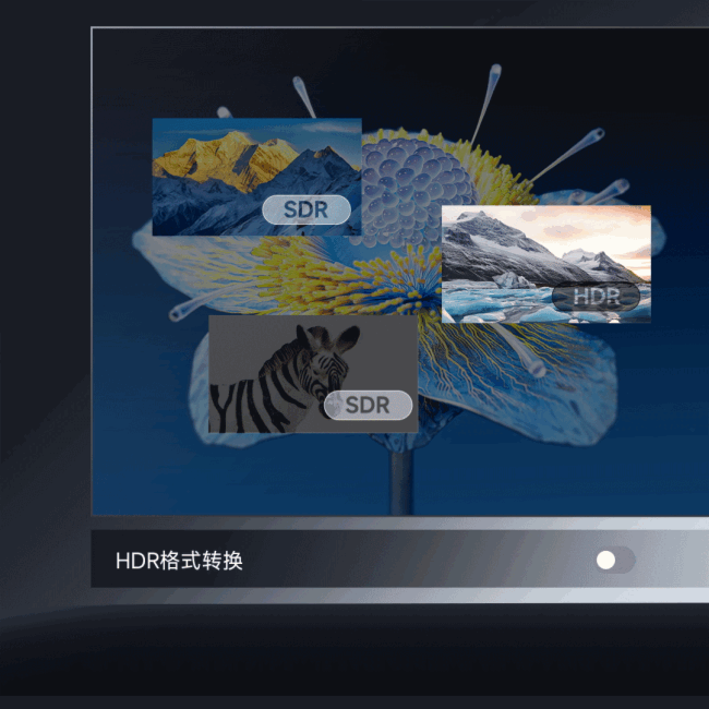 pɄͣ | ZГQV1.4.0ȫ