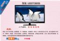 海信 LED37T36X3D